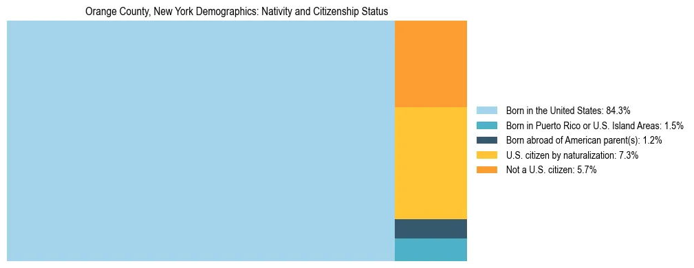 Treemap showing the population distribution by nativity and citizenship status in Orange County, New York based on U.S. Census data.