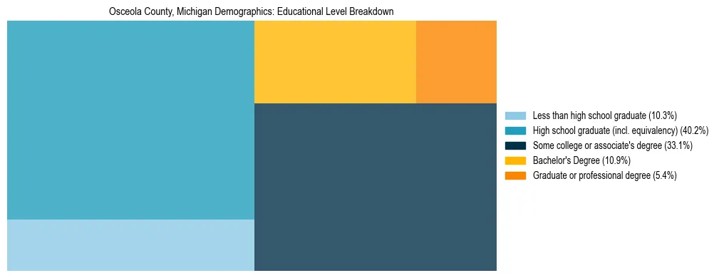 Treemap chart illustrating the educational attainment breakdown for population 25 years and over in Osceola County, Michigan.