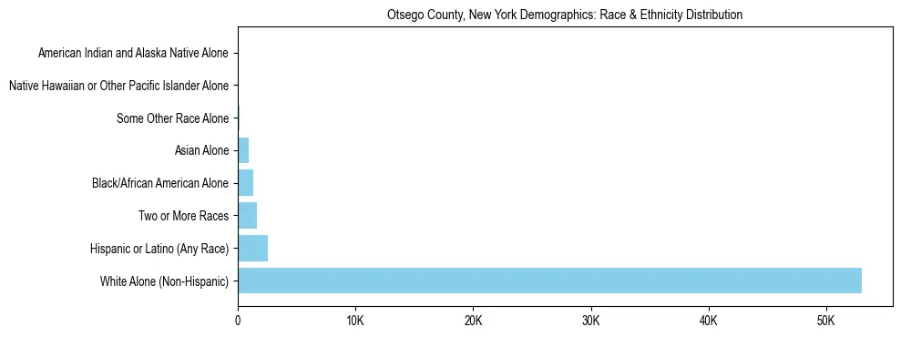 Race and Ethnicity Distribution Chart for Otsego County, New York