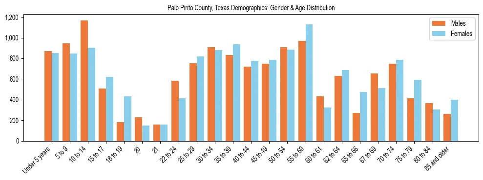 Bar chart showing the population distribution of Palo Pinto County, Texas by age group and gender, based on 2023 ACS data.