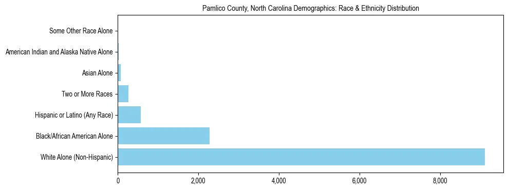 Race and Ethnicity Distribution Chart for Pamlico County, North Carolina