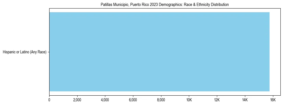 Race and Ethnicity Distribution Chart for Patillas Municipio, Puerto Rico