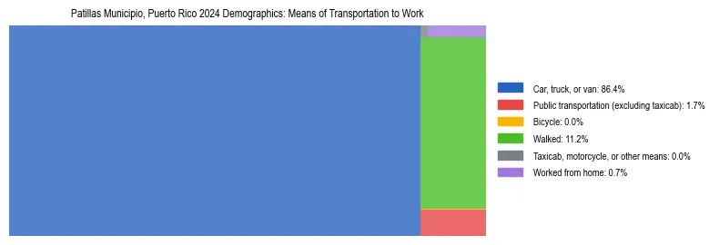 Treemap showing means of transportation to work distribution in Patillas Municipio, Puerto Rico.