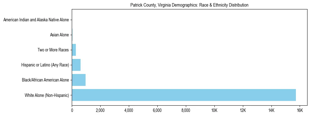 Race and Ethnicity Distribution Chart for Patrick County, Virginia