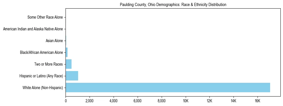 Race and Ethnicity Distribution Chart for Paulding County, Ohio