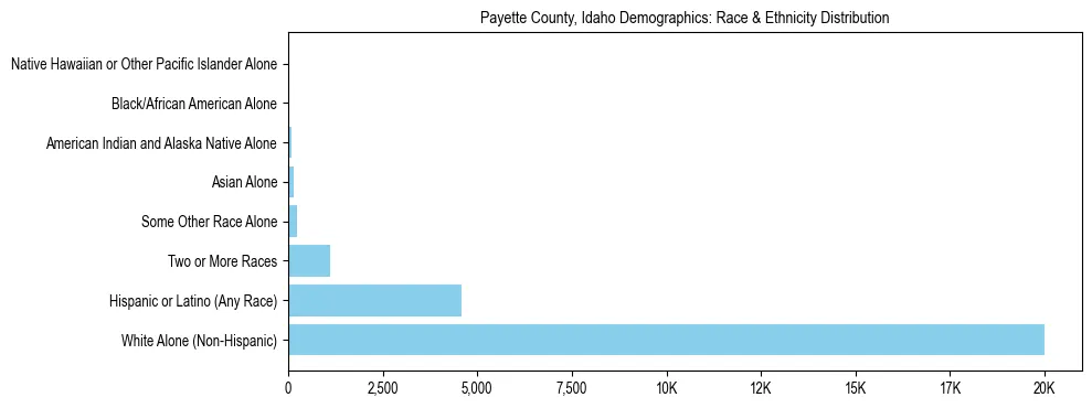 Race and Ethnicity Distribution Chart for Payette County, Idaho