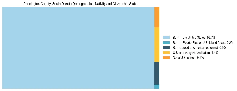 Treemap showing the population distribution by nativity and citizenship status in Pennington County, South Dakota based on U.S. Census data.