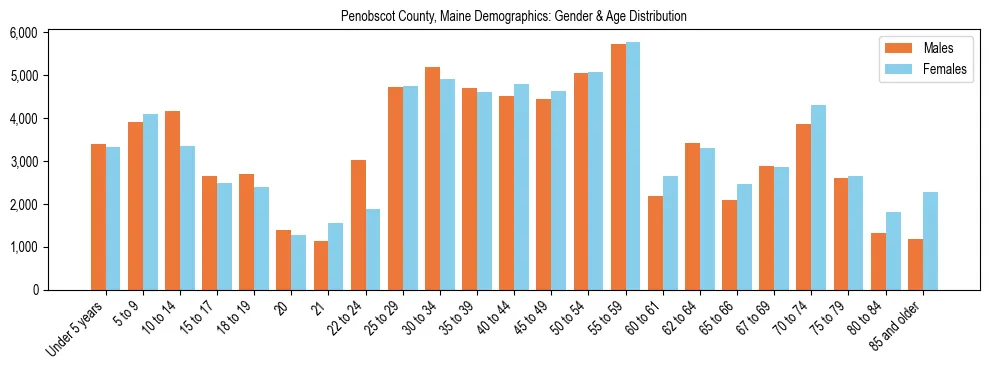 Population pyramid for Penobscot County, Maine showing male vs female age distribution based on 2023 ACS data.