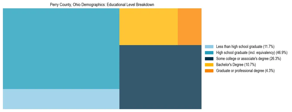 Treemap chart illustrating the educational attainment breakdown for population 25 years and over in Perry County, Ohio.