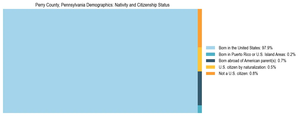 Treemap showing the population distribution by nativity and citizenship status in Perry County, Pennsylvania based on U.S. Census data.