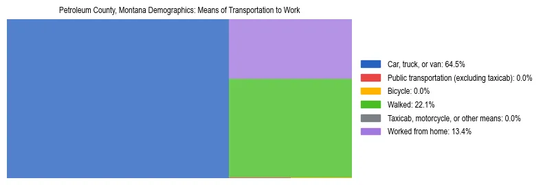 Treemap showing means of transportation to work distribution in Petroleum County, Montana.