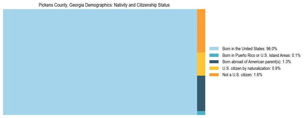 Treemap showing the population distribution by nativity and citizenship status in Pickens County, Georgia based on U.S. Census data.