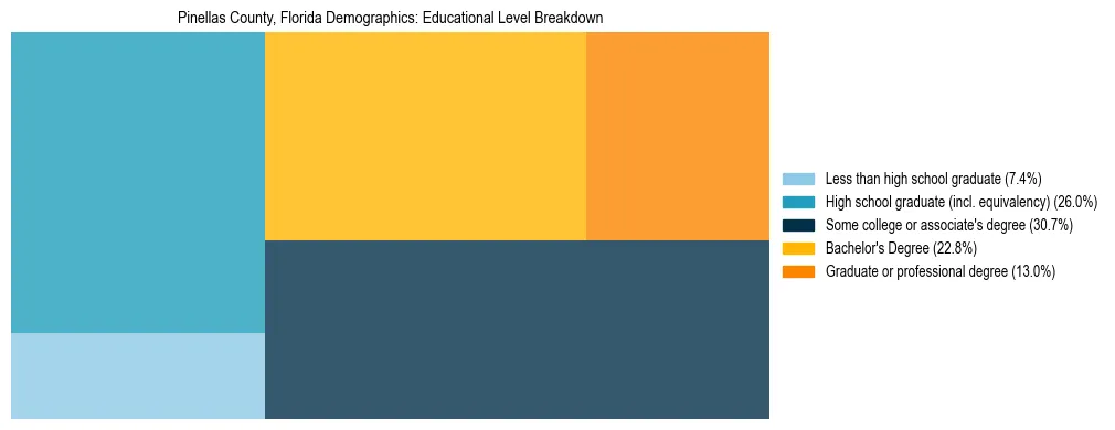 Treemap chart illustrating the educational attainment breakdown for population 25 years and over in Pinellas County, Florida.