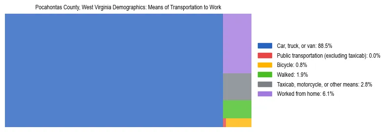 Treemap showing means of transportation to work distribution in Pocahontas County, West Virginia.