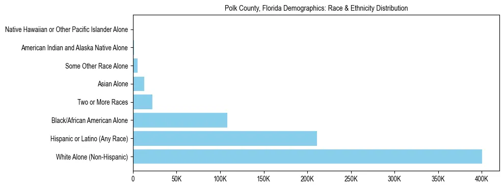 Race and Ethnicity Distribution Chart for Polk County, Florida