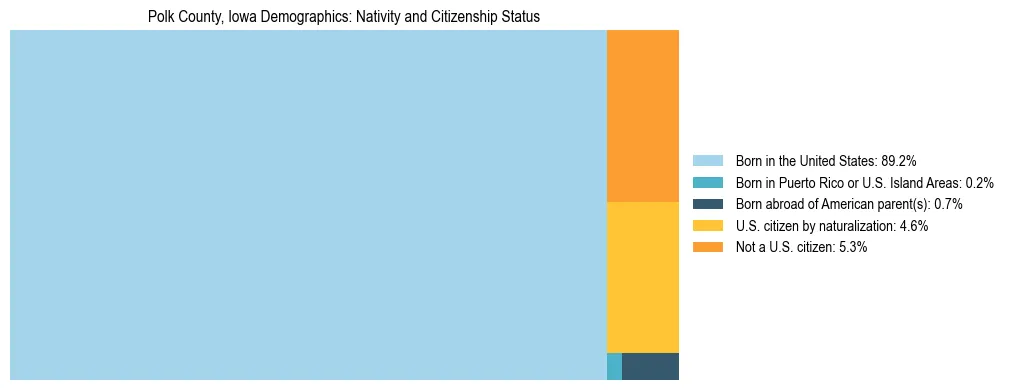 Treemap showing the population distribution by nativity and citizenship status in Polk County, Iowa based on U.S. Census data.