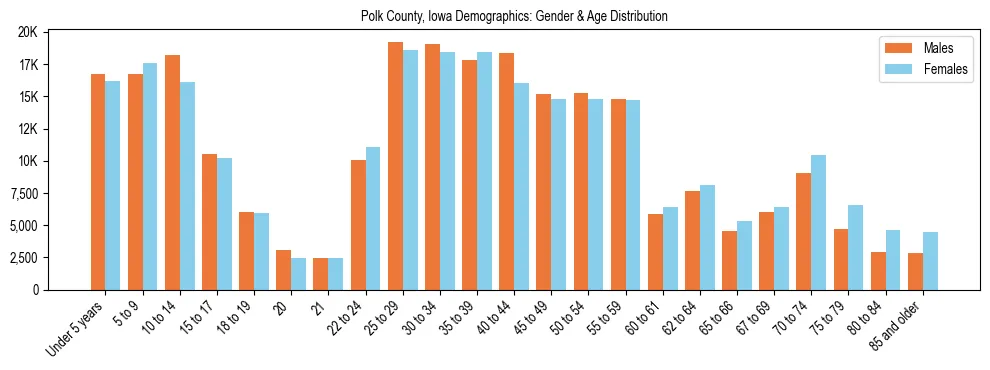 Bar chart showing the population distribution of Polk County, Iowa by age group and gender, based on 2023 ACS data.