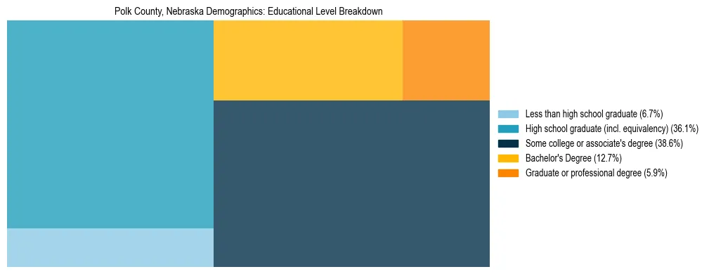 Treemap chart illustrating the educational attainment breakdown for population 25 years and over in Polk County, Nebraska.