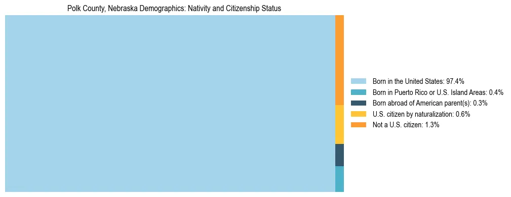 Treemap showing the population distribution by nativity and citizenship status in Polk County, Nebraska based on U.S. Census data.
