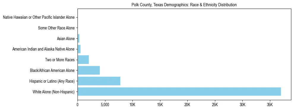 Race and Ethnicity Distribution Chart for Polk County, Texas