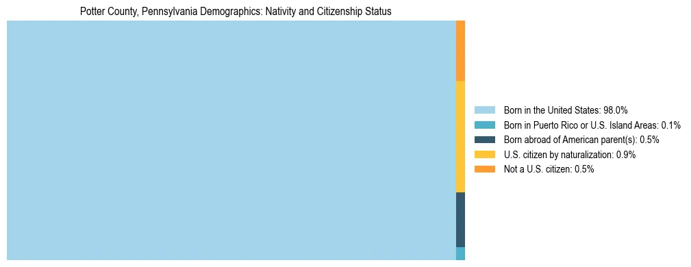 Treemap showing the population distribution by nativity and citizenship status in Potter County, Pennsylvania based on U.S. Census data.