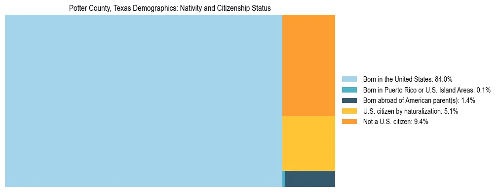 Treemap showing the population distribution by nativity and citizenship status in Potter County, Texas based on U.S. Census data.