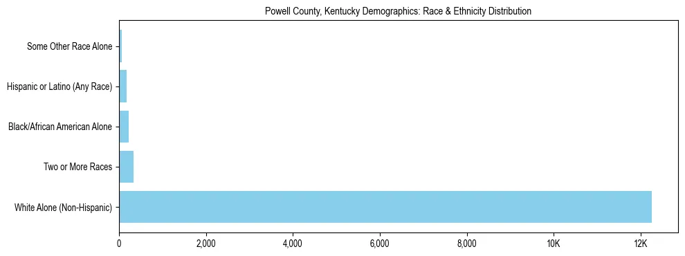 Race and Ethnicity Distribution Chart for Powell County, Kentucky