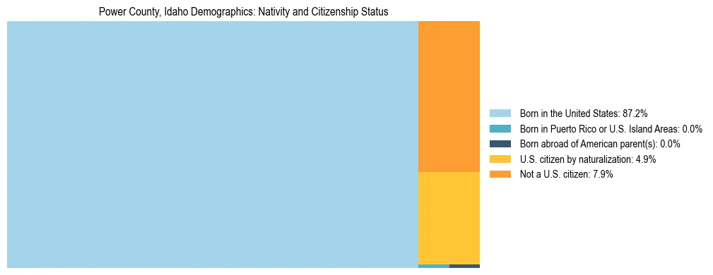 Treemap showing the population distribution by nativity and citizenship status in Power County, Idaho based on U.S. Census data.