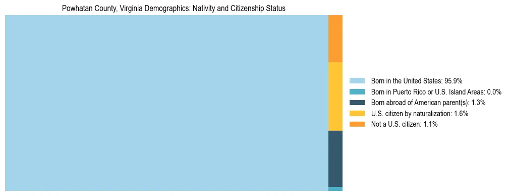 Treemap showing the population distribution by nativity and citizenship status in Powhatan County, Virginia based on U.S. Census data.