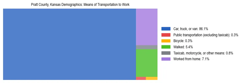 Treemap showing means of transportation to work distribution in Pratt County, Kansas.