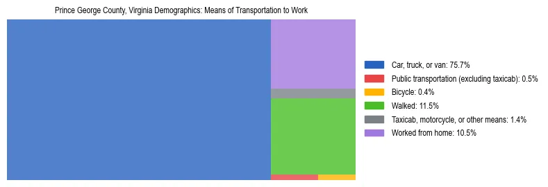 Treemap showing means of transportation to work distribution in Prince George County, Virginia.
