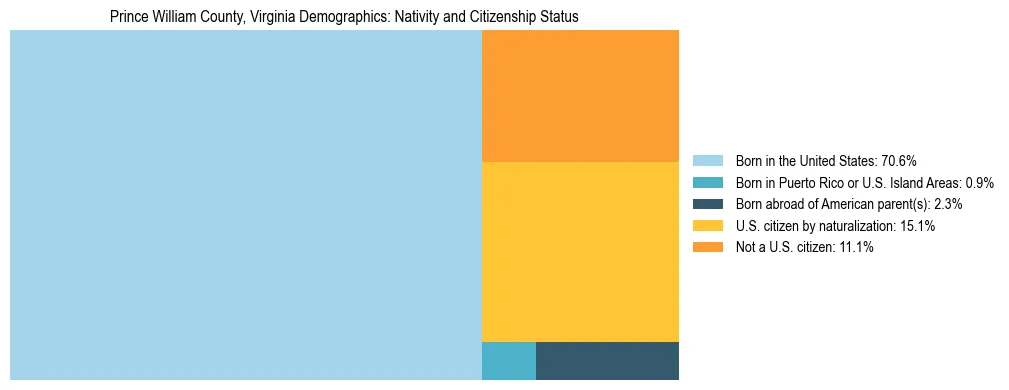 Treemap showing the population distribution by nativity and citizenship status in Prince William County, Virginia based on U.S. Census data.