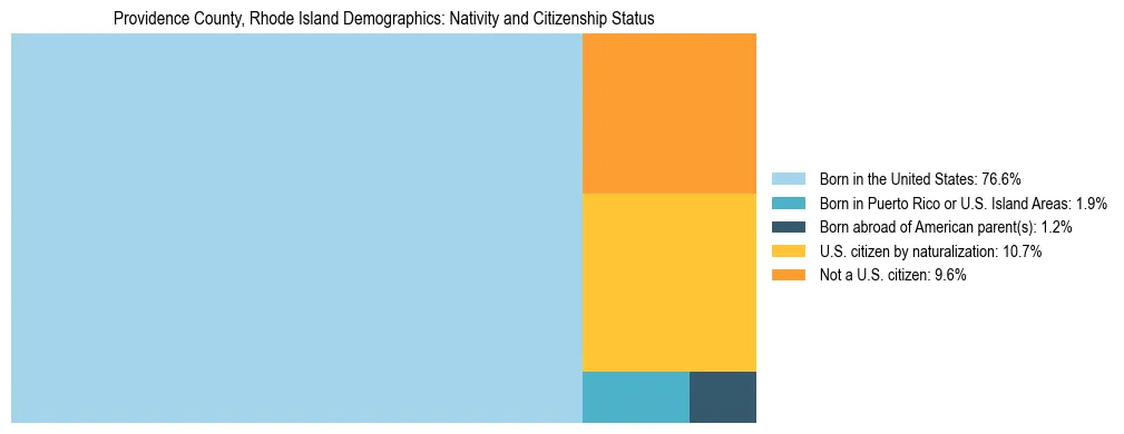 Treemap showing the population distribution by nativity and citizenship status in Providence County, Rhode Island based on U.S. Census data.