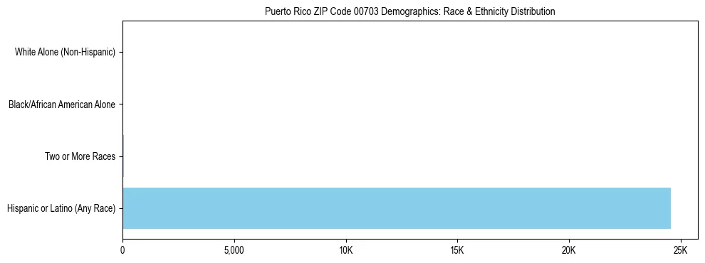 Pie chart showing the racial and ethnic composition of Puerto Rico ZIP Code 00703 based on 2023 ACS data.