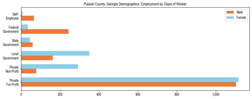 Horizontal bar chart showing employment distribution by class of worker and gender in Pulaski County, Georgia, based on 2023 ACS data.