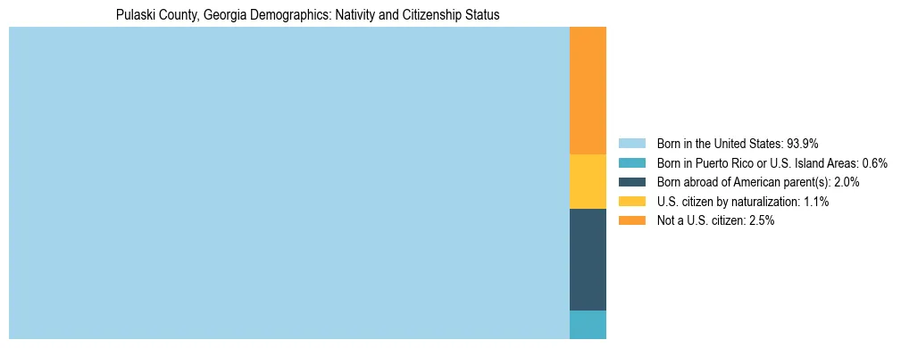 Treemap showing the population distribution by nativity and citizenship status in Pulaski County, Georgia based on U.S. Census data.