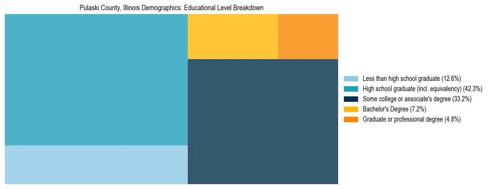 Treemap chart illustrating the educational attainment breakdown for population 25 years and over in Pulaski County, Illinois.