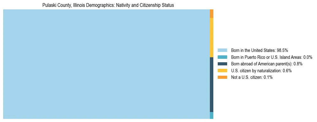 Treemap showing the population distribution by nativity and citizenship status in Pulaski County, Illinois based on U.S. Census data.