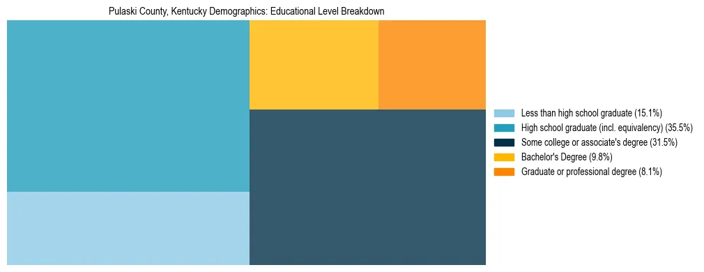 Treemap chart illustrating the educational attainment breakdown for population 25 years and over in Pulaski County, Kentucky.