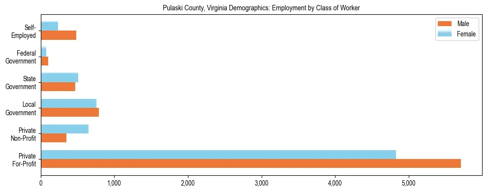 Horizontal bar chart showing employment distribution by class of worker and gender in Pulaski County, Virginia, based on 2023 ACS data.