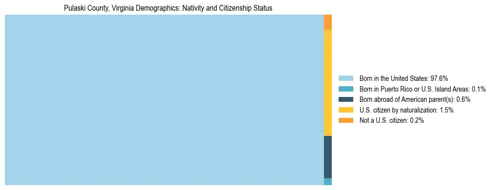 Treemap showing the population distribution by nativity and citizenship status in Pulaski County, Virginia based on U.S. Census data.