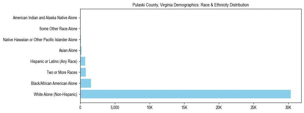 Race and Ethnicity Distribution Chart for Pulaski County, Virginia