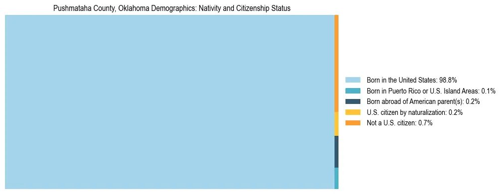 Treemap showing the population distribution by nativity and citizenship status in Pushmataha County, Oklahoma based on U.S. Census data.