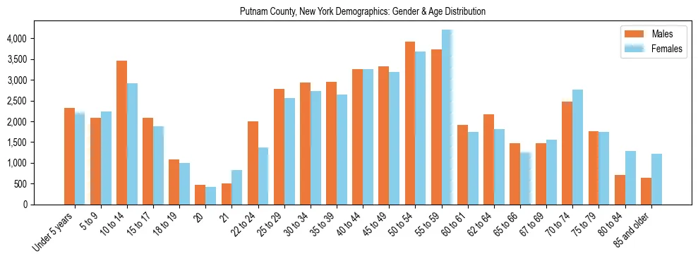 Bar chart showing the population distribution of Putnam County, New York by age group and gender, based on 2023 ACS data.