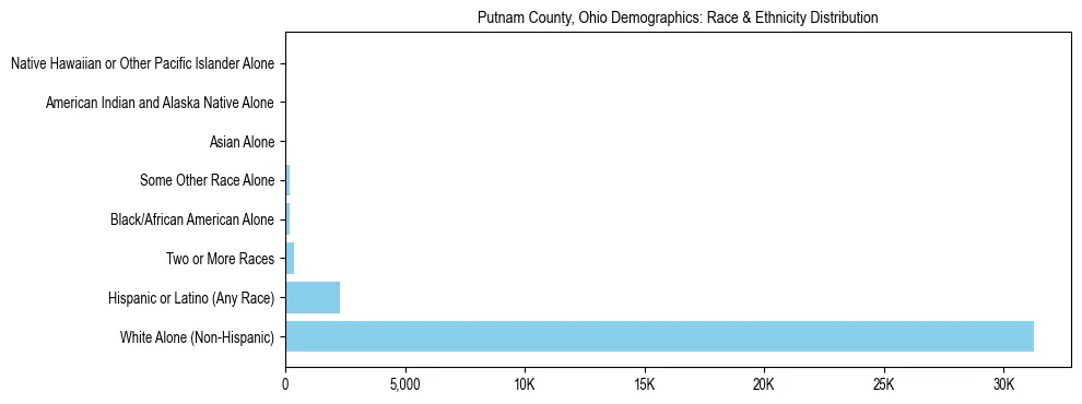 Race and Ethnicity Distribution Chart for Putnam County, Ohio