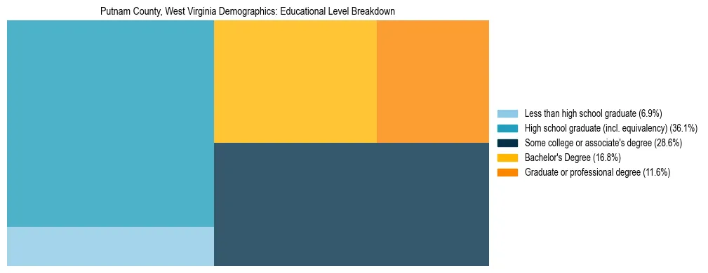 Treemap chart illustrating the educational attainment breakdown for population 25 years and over in Putnam County, West Virginia.