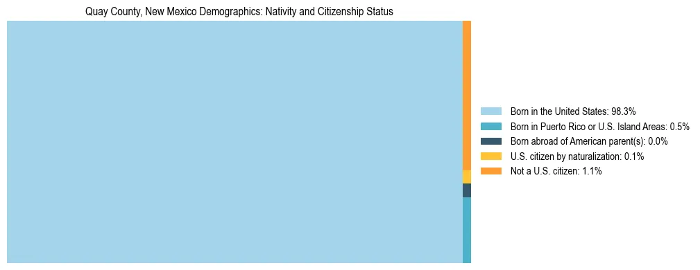 Treemap showing the population distribution by nativity and citizenship status in Quay County, New Mexico based on U.S. Census data.