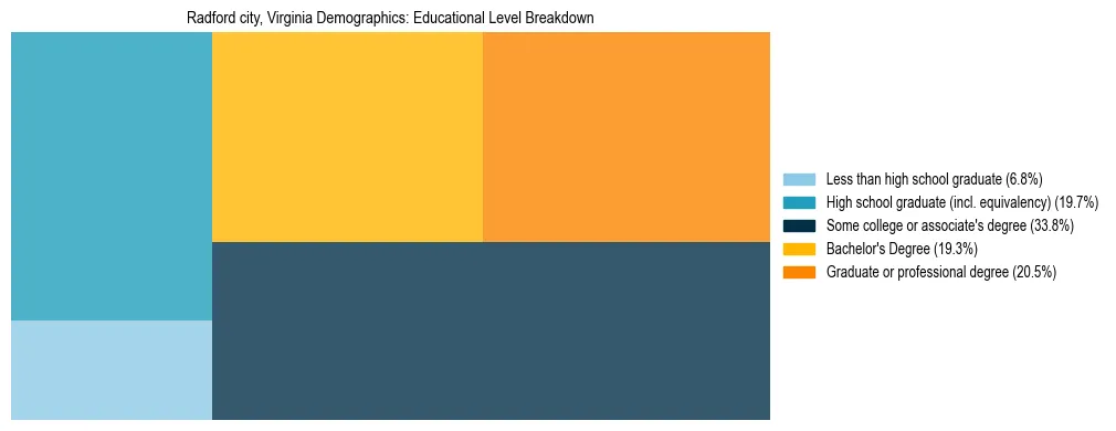 Treemap chart illustrating the educational attainment breakdown for population 25 years and over in Radford city, Virginia.