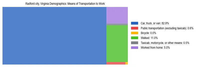 Treemap showing means of transportation to work distribution in Radford city, Virginia.