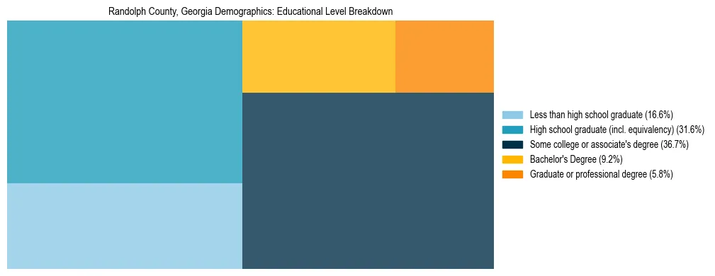 Treemap chart illustrating the educational attainment breakdown for population 25 years and over in Randolph County, Georgia.